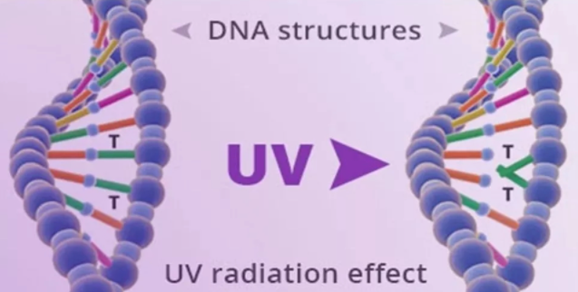 1625051262.png QQ截圖20210603171558.png